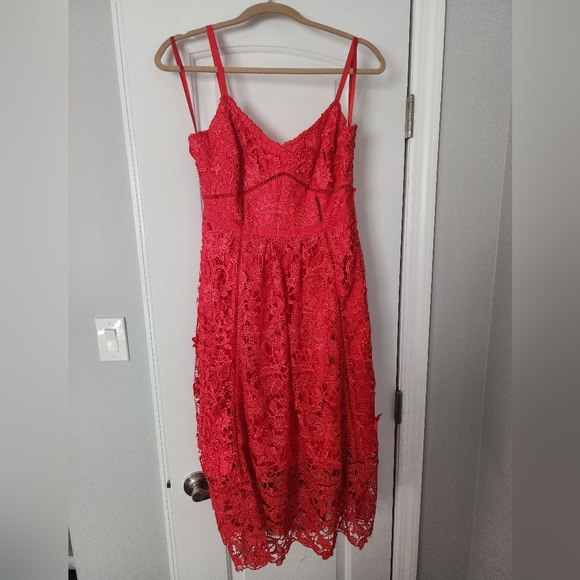 NWT Red Ted Baker Valens Mixed Lace Midi Dress Uk 2/US 6 - Picture 5 of 11